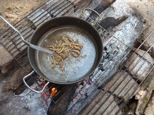 9 Insekten essen (0)