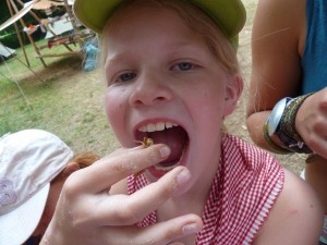 9 Insekten essen (1)