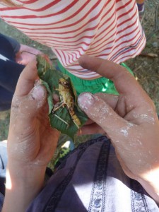 9 Insekten essen (9)