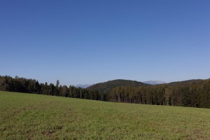 _MG_6135