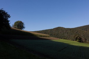 _MG_6157