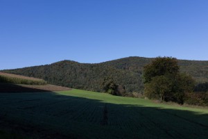 _MG_6158