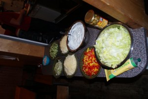 DSC06596