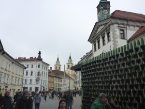 P1030630