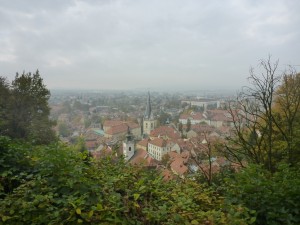 P1030660